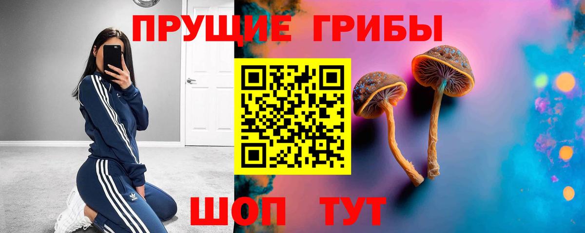 Псилоцибиновые грибы прущие грибы  Псилоцибиновые грибы Psilocybe  Артём  Вход с VPN 