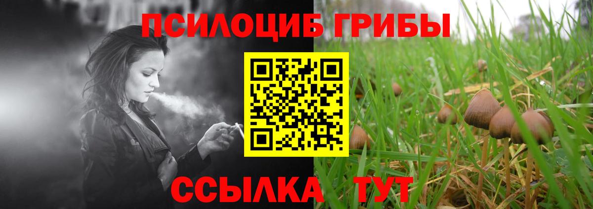 Галлюциногенные грибы GOLDEN TEACHER Артём